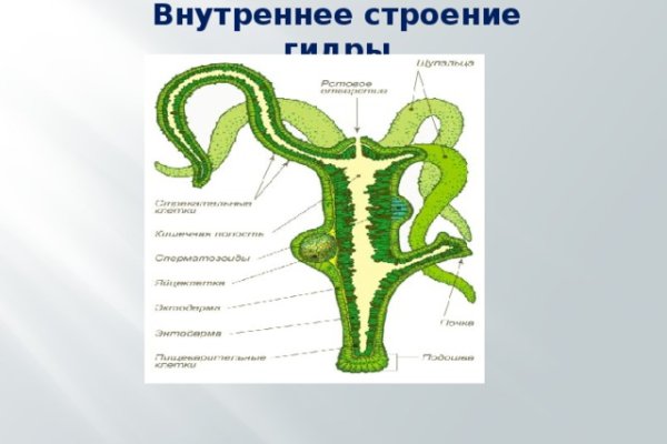 Kraken маркетплейс официальный